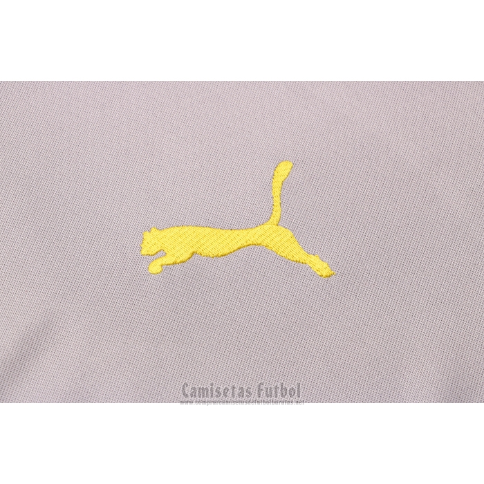 Chandal de Sudadera del Borussia Dortmund 2021-2022 Gris